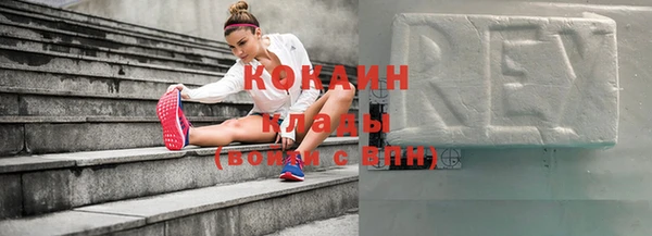 прущие грибы Бородино