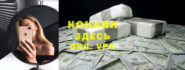 прущие грибы Бородино