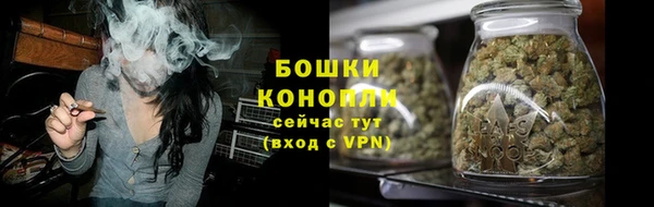 прущие грибы Бородино