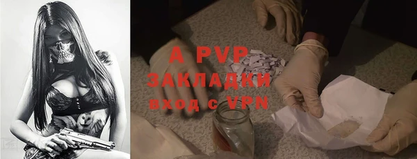прущие грибы Бородино