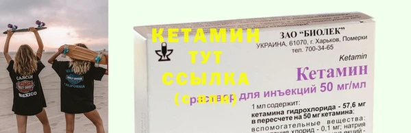 прущие грибы Бородино