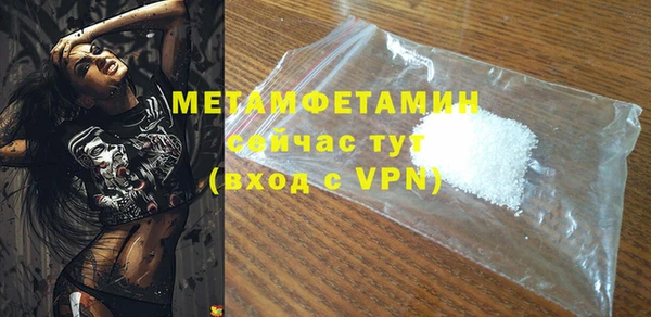 прущие грибы Бородино