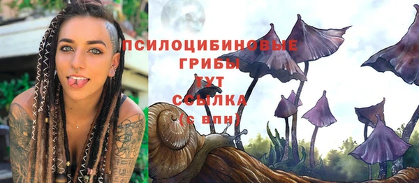 прущие грибы Бородино