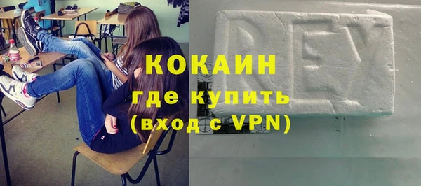 прущие грибы Бородино